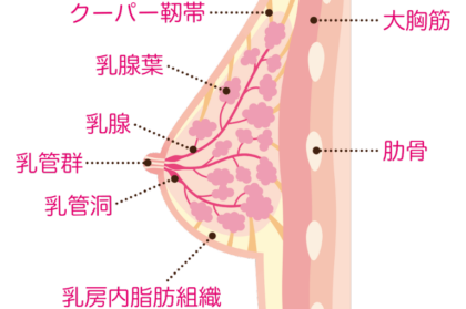乳管の異常
